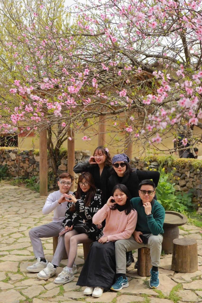 hà giang ngập tràng sắc xuân giữa núi đồi